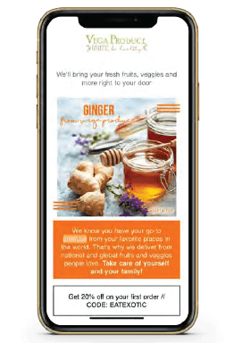 success Case: Vega Produce Email Marketing